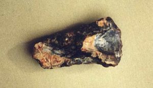 An axe-head found at Willow Tree Farm. It has been damaged by ploughing and from being buried in the soil for so long.