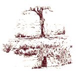 A line drawing of a pond with a tree standing centrally beyond it