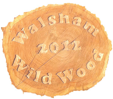 new wildwood sign carved from tree trunk