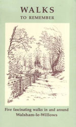 line drawing of leafy walsham-le-willows lane