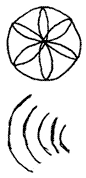 witchmarks - Two very simple line drawings: A circle with 6 identical ‘petals’, each of which are drawn with the same radius as the circle, and using the outer edge as their centre point and then moving each drawing on so that where it touches the circle becomes the centre point for the next ‘petal’ and five curved lines radiating out from a single centre point, with each one equi distant from the next and each one equally smaller than the outer one. They are all only one quarter of a circle.