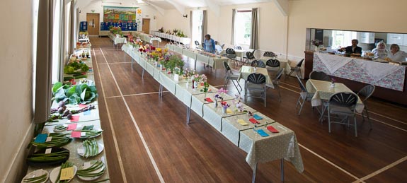 Horticultural Show 2017
