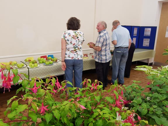Horticultural Show 2017