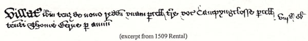 A line of old english script.