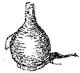 A black and white pen drawing of a wicker bottle - rather liker a chianti bottle of the 1960's.