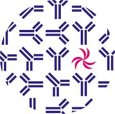 bowel and cancer research logo