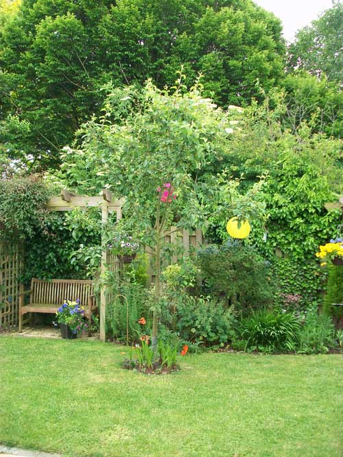 memorial-hall-garden-003