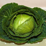 horticultural-show-cabbage