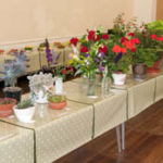 horticultural-show-flower-tabl