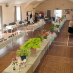 horticultural-show-the-pre-judging