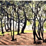 'Trees', Collagraph by Chris Evans Image of a Collagragh of trees on brown sunlight soil with trunks, black in silhouette against an intensely bright light in the distance through the forest of tree trunks and subtle green hues in the canopy.
