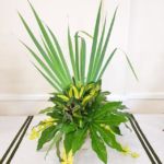 Horticultural Show 2017