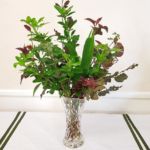 Horticultural Show 2017