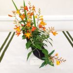 Horticultural Show 2017