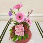Horticultural Show 2017