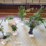 Horticultural Show 2017