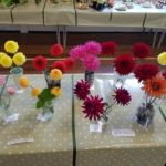 Horticultural Show 2017
