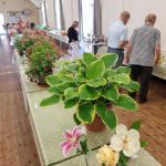 Horticultural Show 2017