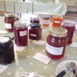 Horticultural Show 2017