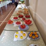 Horticultural Show 2017