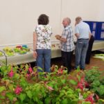 Horticultural Show 2017