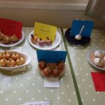 Horticultural Show 2017
