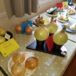 Horticultural Show 2017