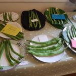 Horticultural Show 2017
