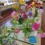 Horticultural Show 2017