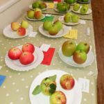 Horticultural Show 2017