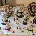 Horticultural Show 2017